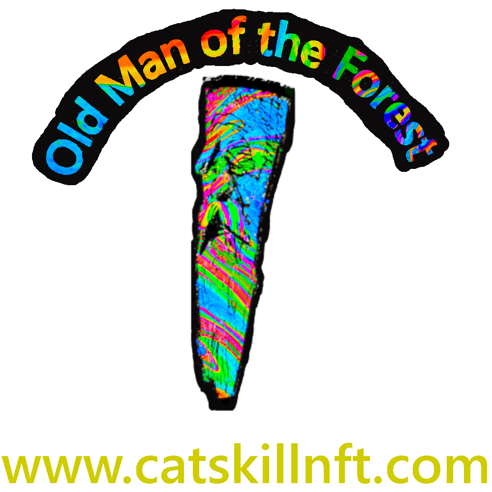 Old Man of the Forest NFT Collection